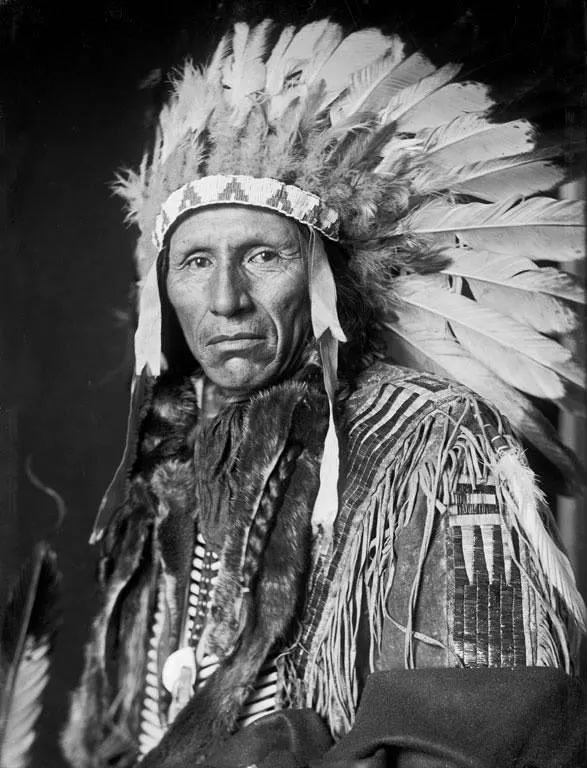 Eagle Dog, a Yankton Sioux man, 1908.